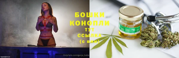 PSILOCYBIN Няндома