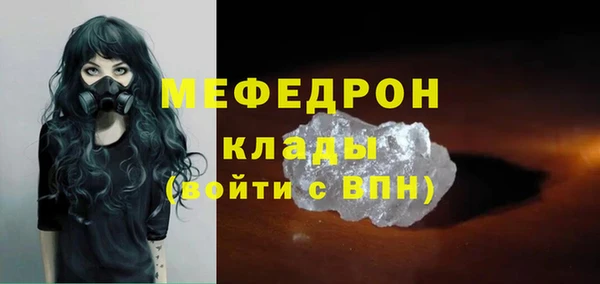 шишки Медвежьегорск