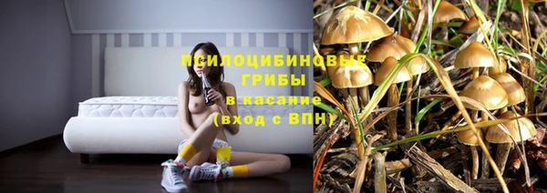 spice Алзамай