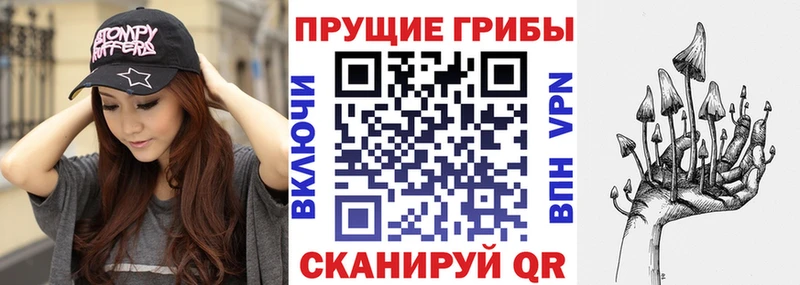 Галлюциногенные грибы прущие грибы  где можно купить   Калининск 